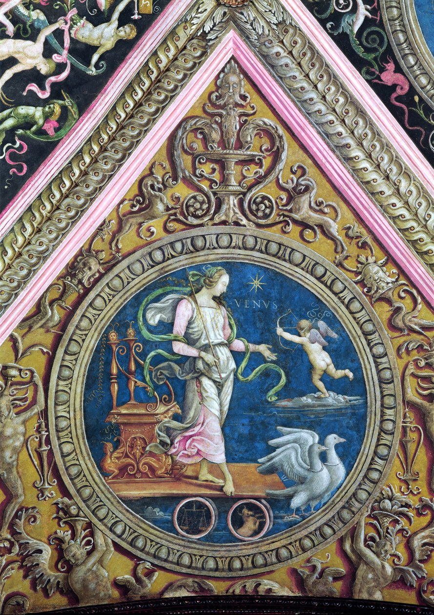 Venus, uit de Sala dell