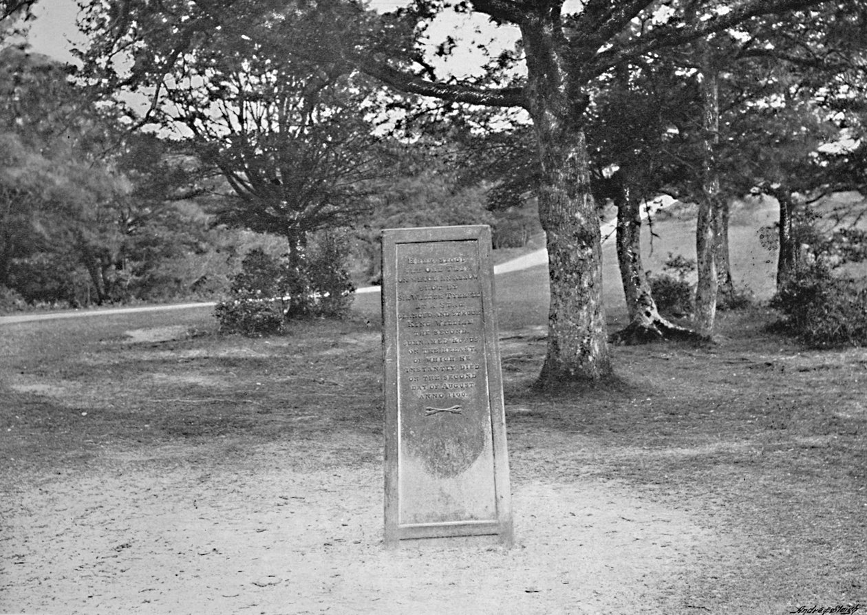 Rufus Stone, New Forest door Poulton and Co