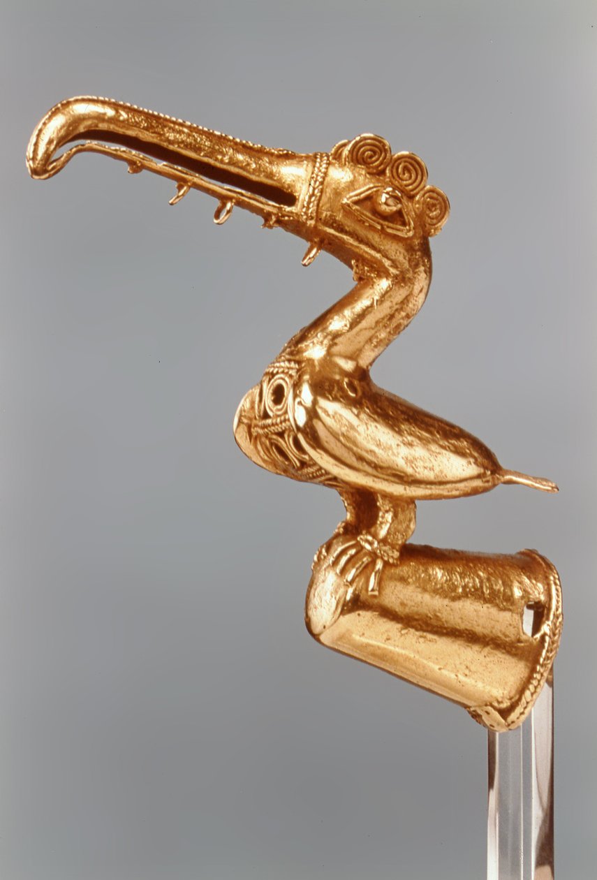 Toekan (goud) door Pre Columbian
