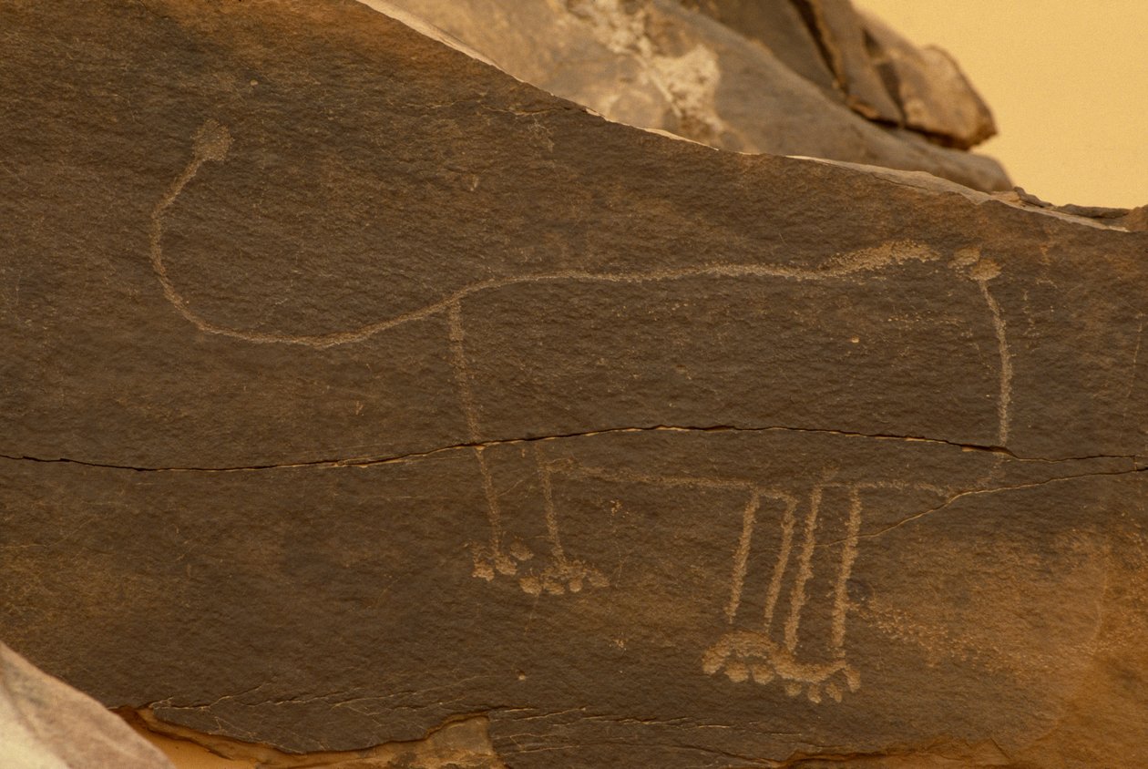 Dier (rotsgravure) door Prehistoric