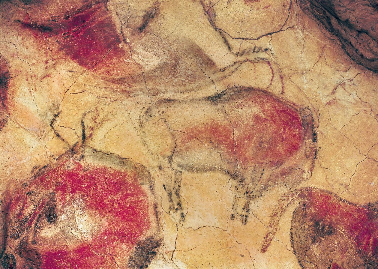 Bisons, uit de grotten van Altamira door Prehistoric