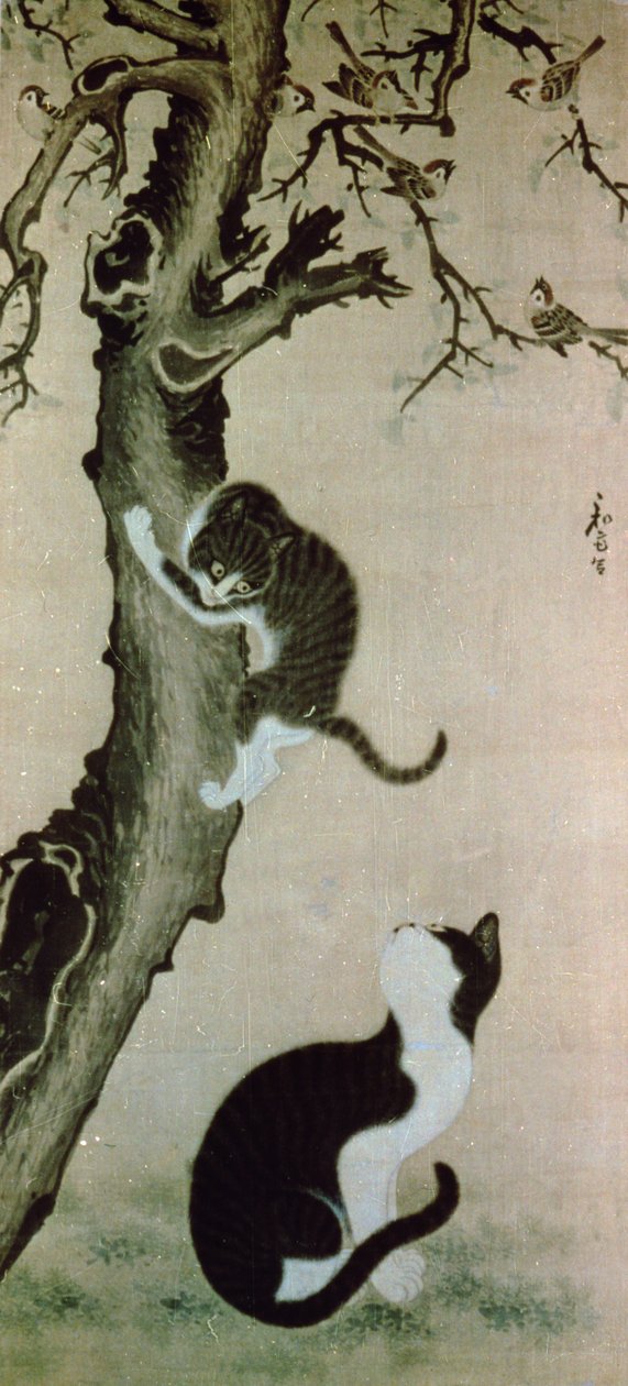 Katten, 17e eeuw door Pyon Sang Byok