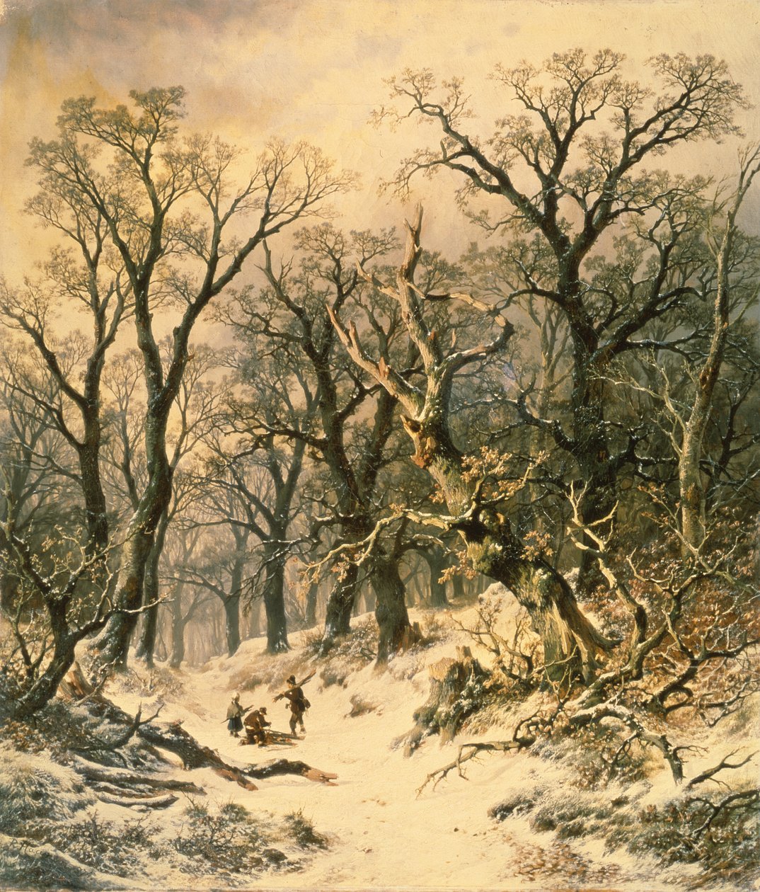Het bos door R. Van Hannen