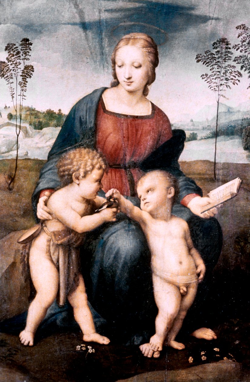 Madonna del Cardellino, 1507 door Raffaello Sanzio Raphael
