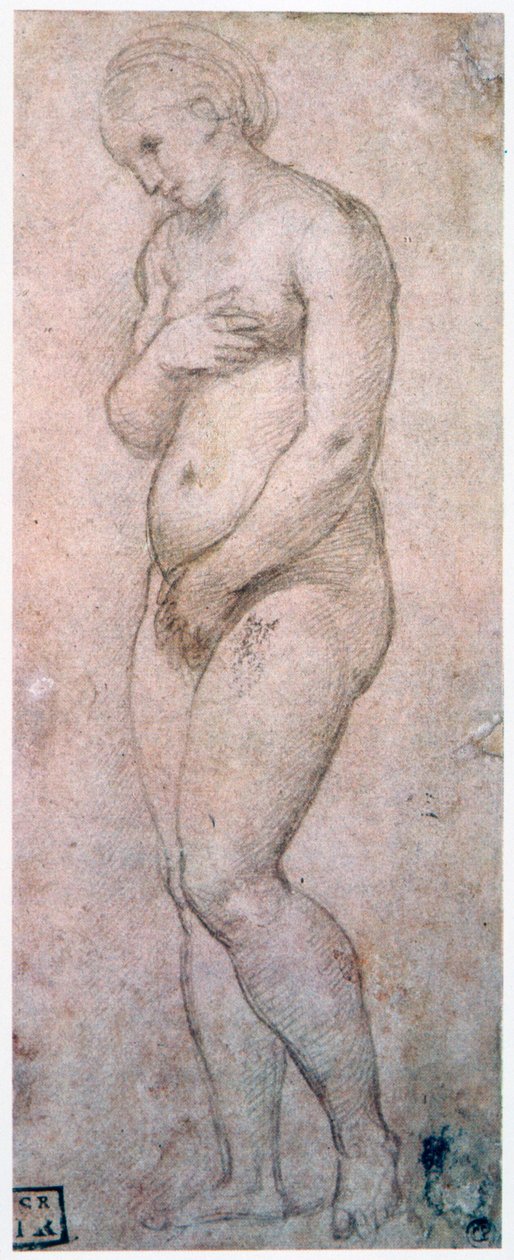 Studie van Venus, ca. 1500-1520 door Raffaello Sanzio Raphael