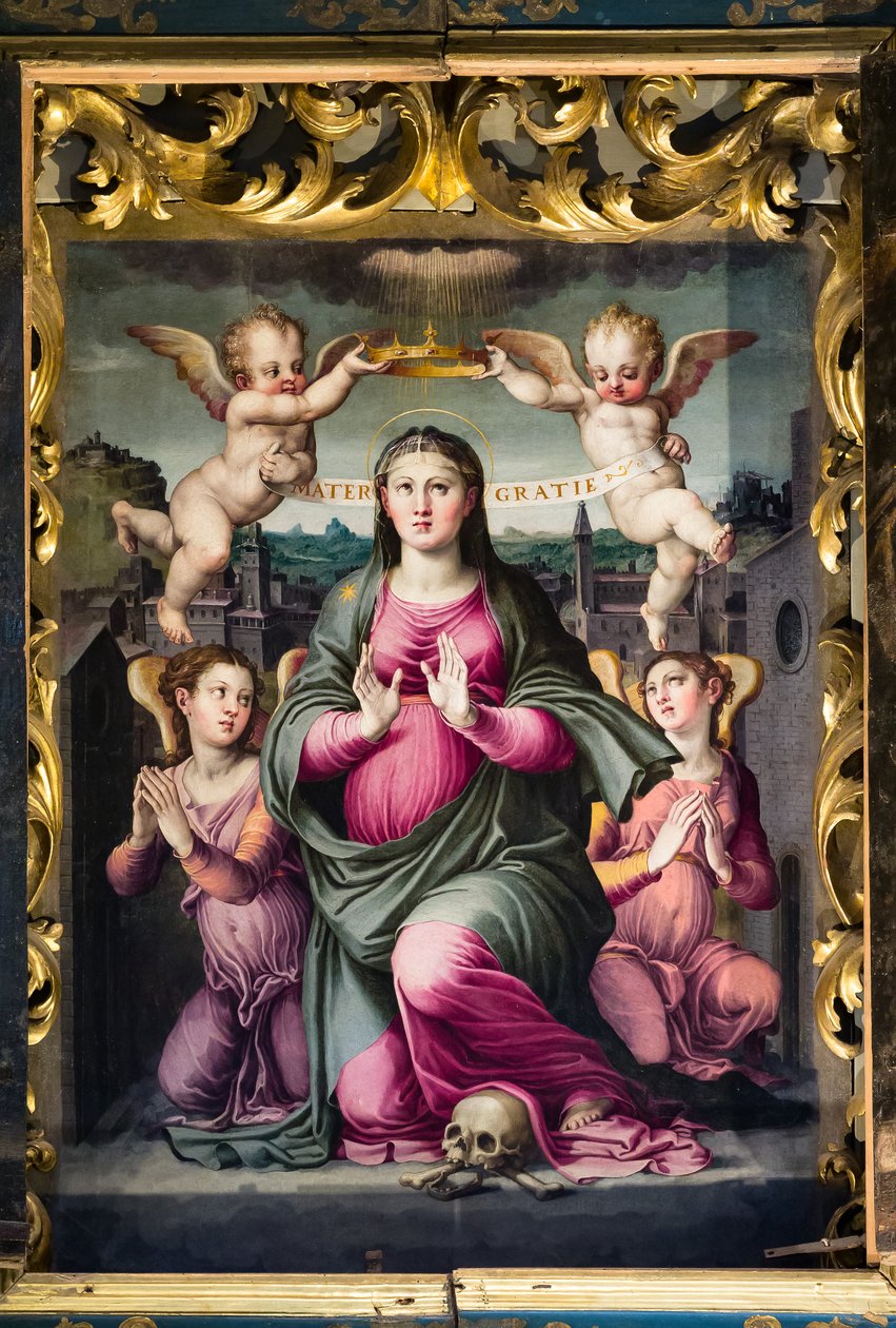 Madonna delle Grazie door Raffaello dal Colle