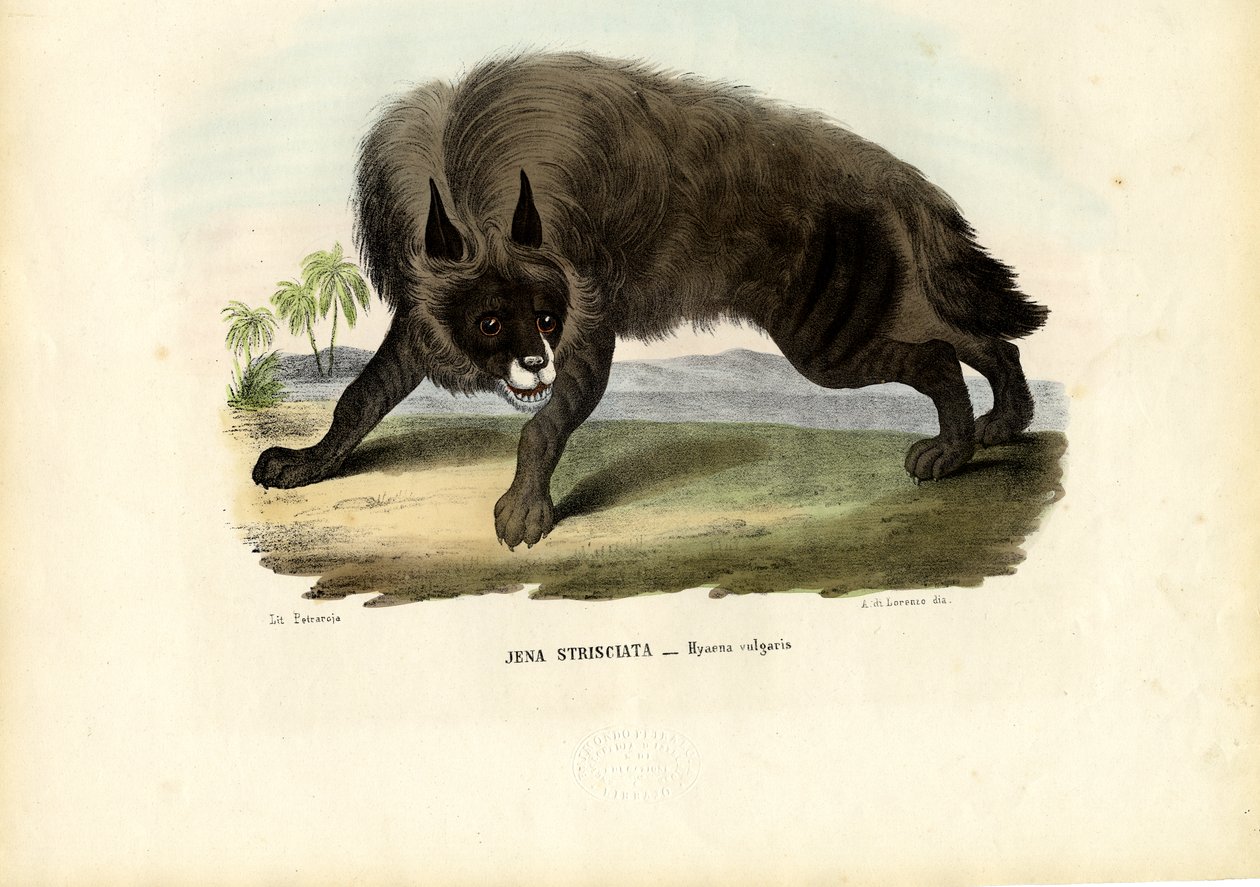 Gestreepte hyena, 1863-79 door Raimundo Petraroja