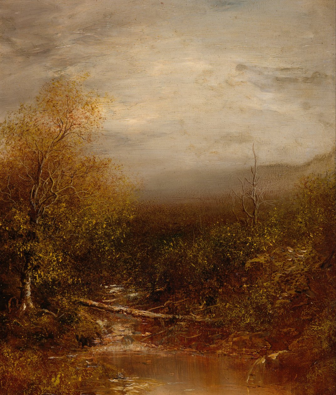 Vijver in de Adirondacks door Ralph Albert Blakelock