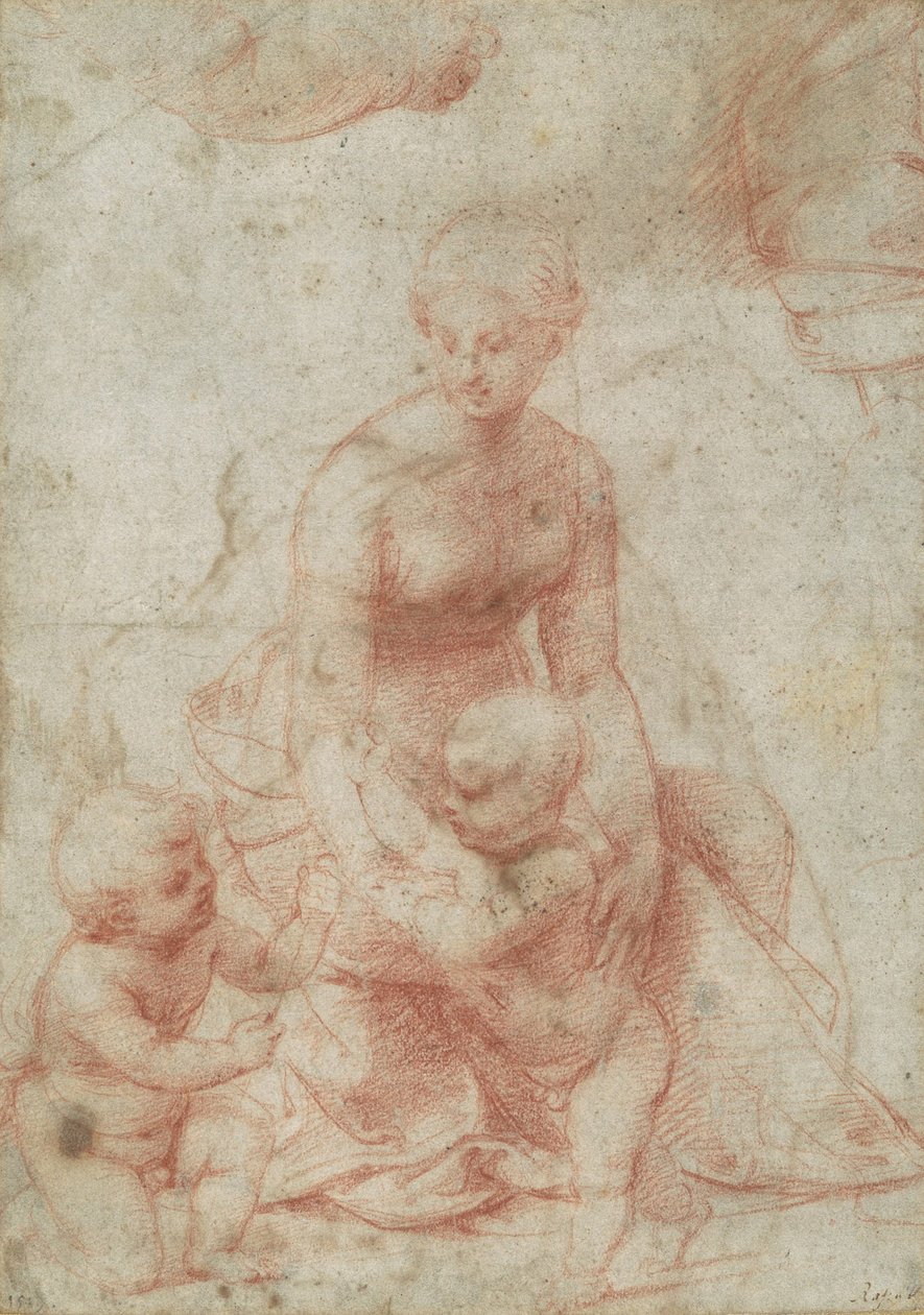 Madonna en Kind met de jonge Johannes de Doper, ca. 1506-7 door Raffaello Sanzio Raphael