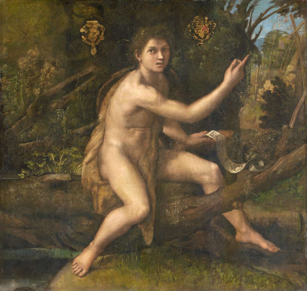 Misschien geschilderd in 1516 voor Adrien Gouffier door Raffaello Sanzio Raphael