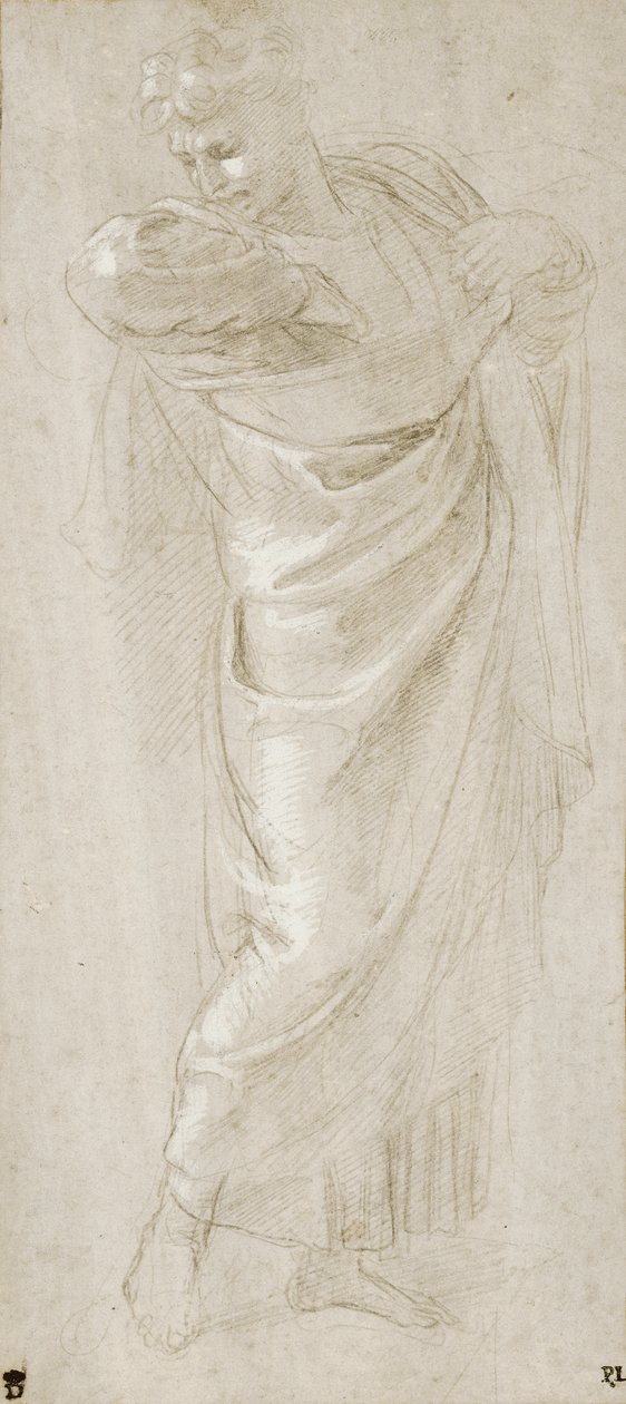 St. Paulus scheurt zijn kleren door Raffaello Sanzio Raphael
