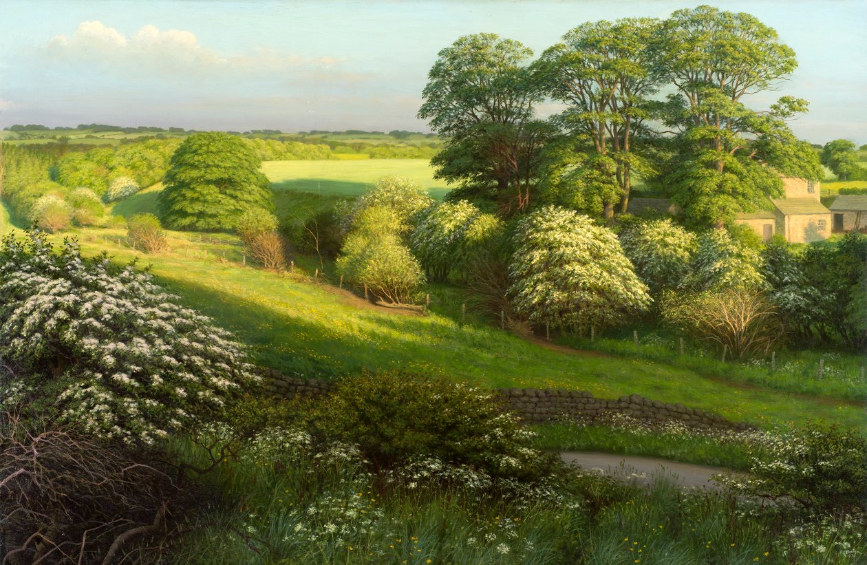 Landschap door Raymond Booth
