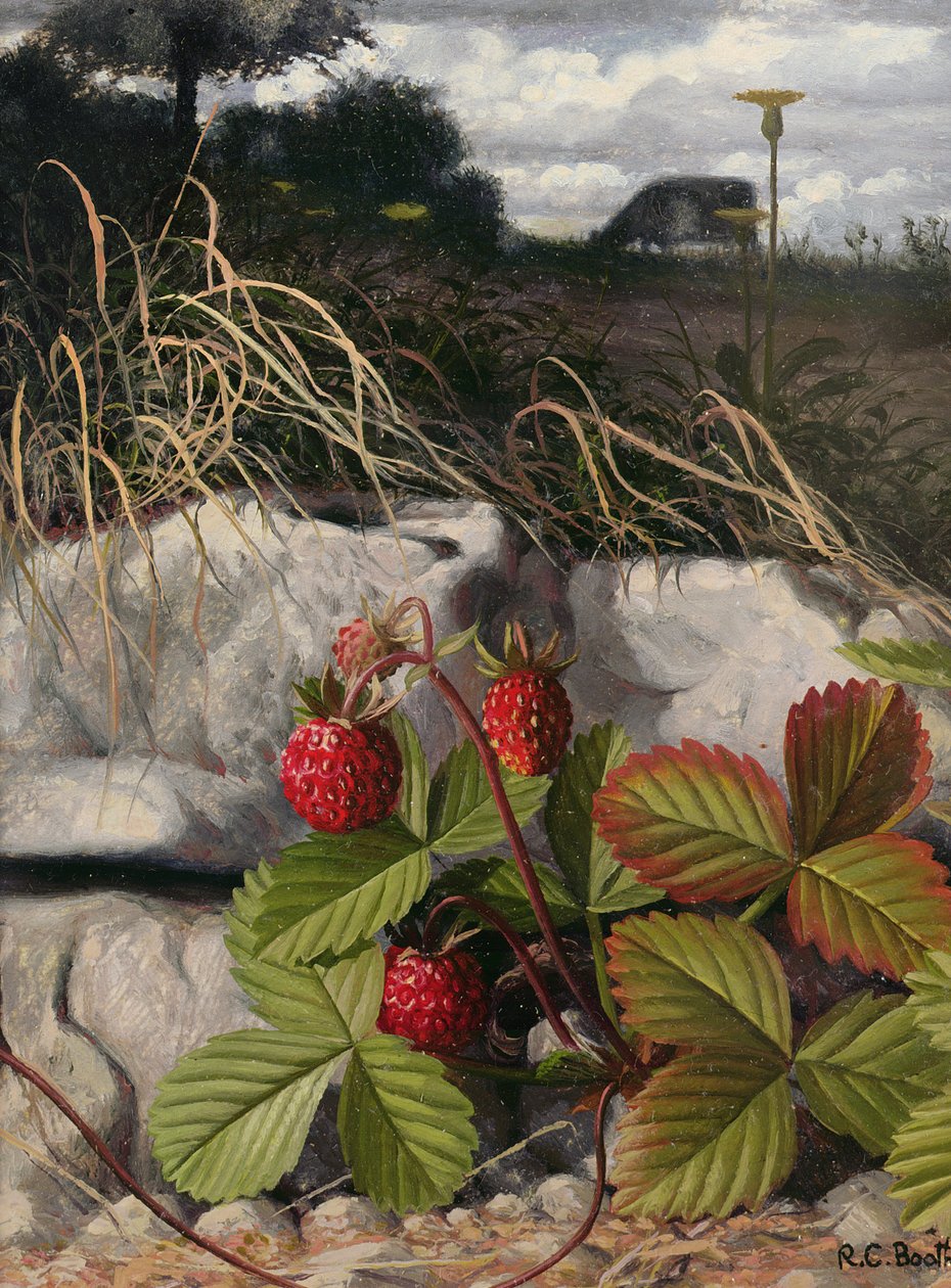 Aardbeien (olieverf op paneel) door Raymond Booth