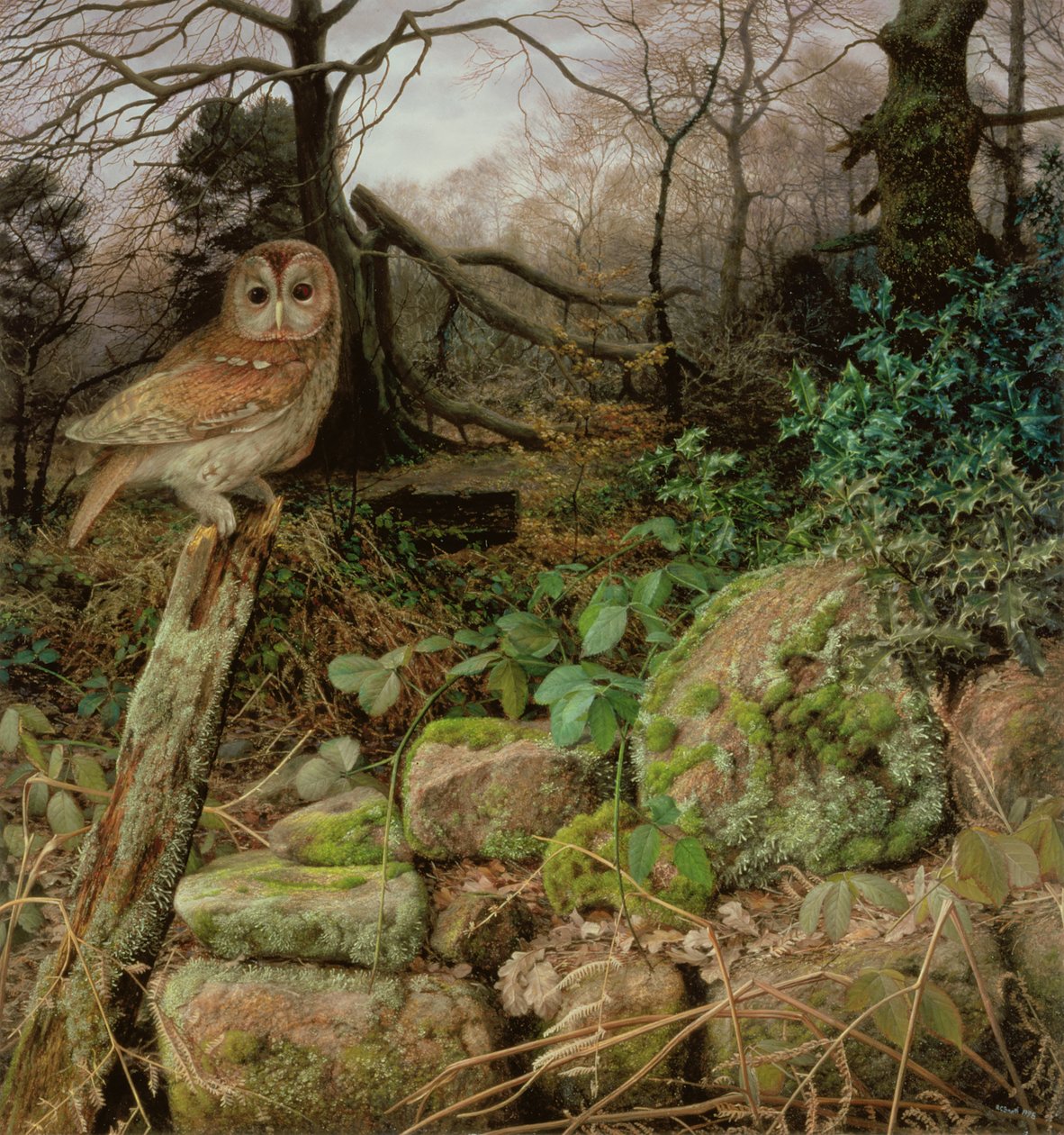 Het wilde bos - een winteravond door Raymond Booth