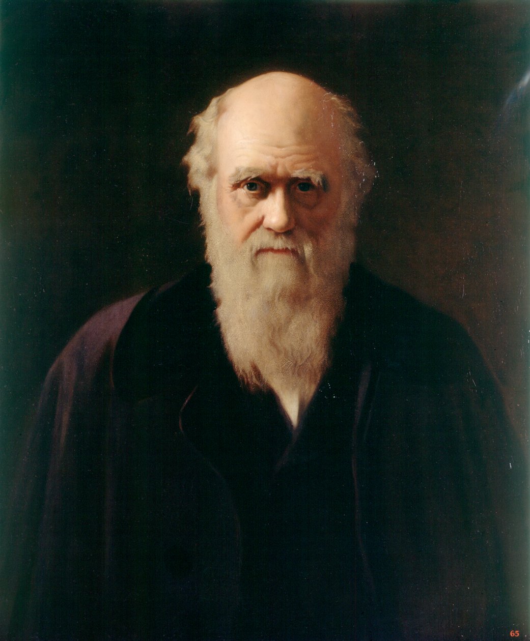 Charles Darwin door Reilly Reilly