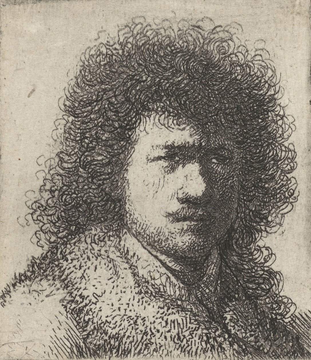 Zelfportret met rommelig haar, 1628-31 door Rembrandt van Rijn