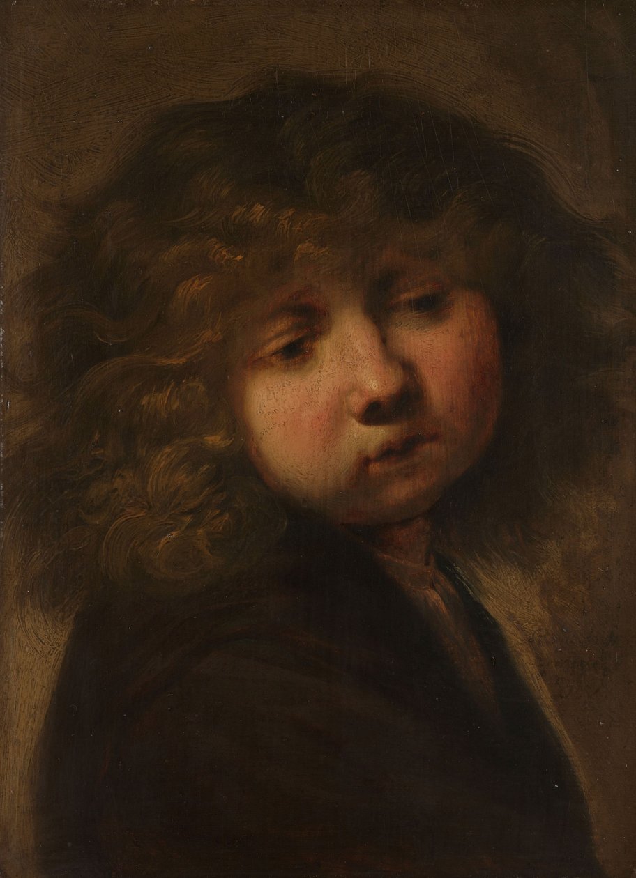 Hoofd van een jongen door Rembrandt van Rijn
