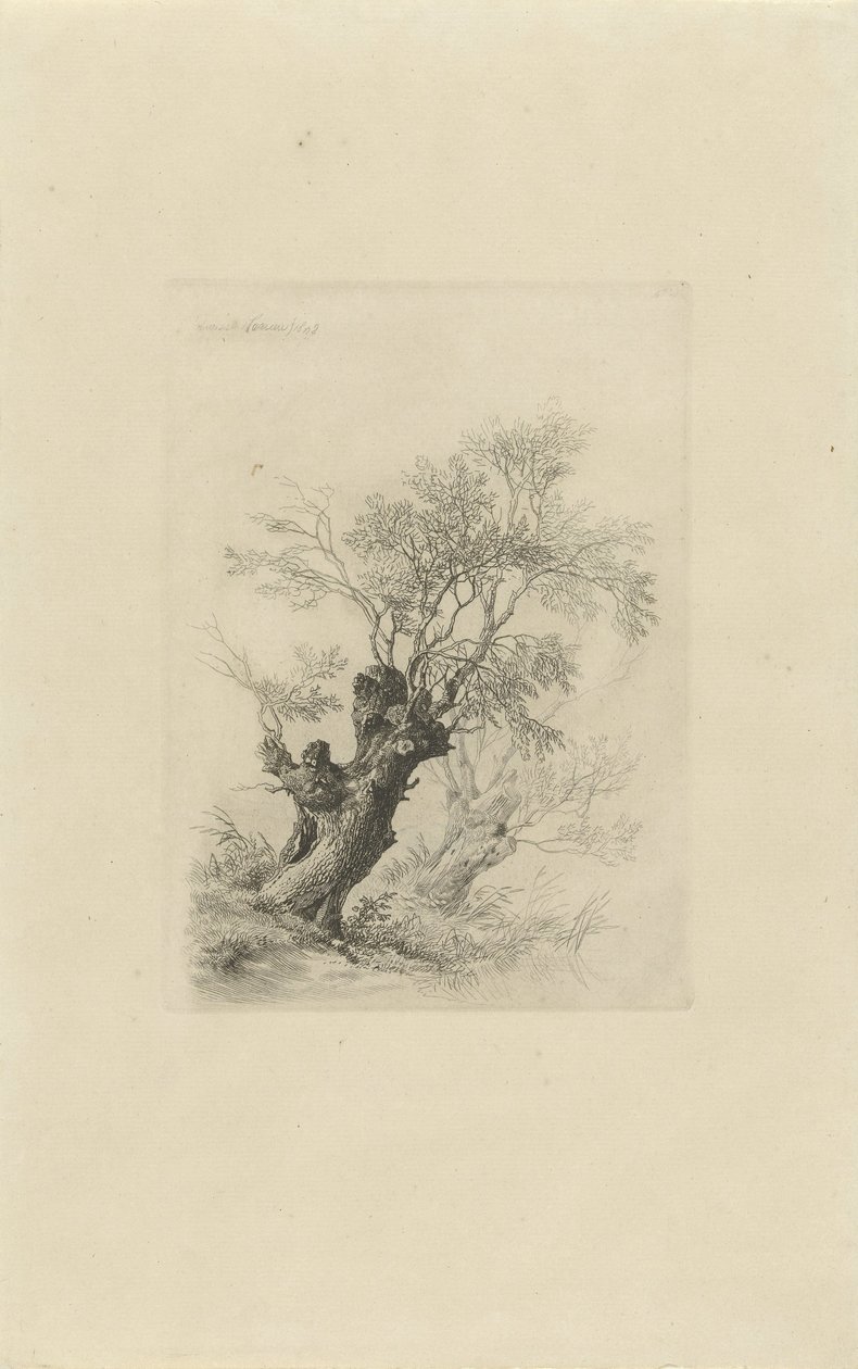 Wilgenboom door Remigius Adrianus Haanen