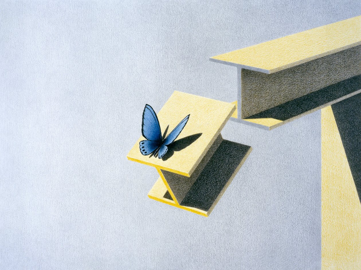 Vlinder door Rene Boin