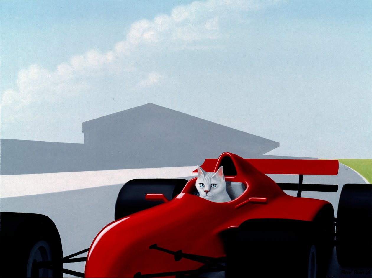 Formule 1 Kat door Rene Boin