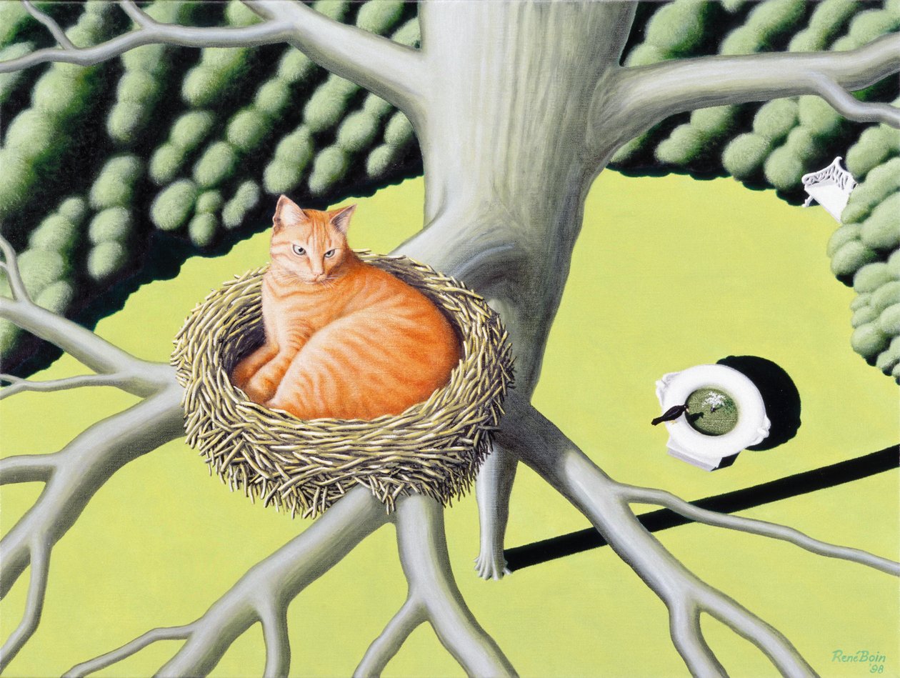 Nest door Rene Boin