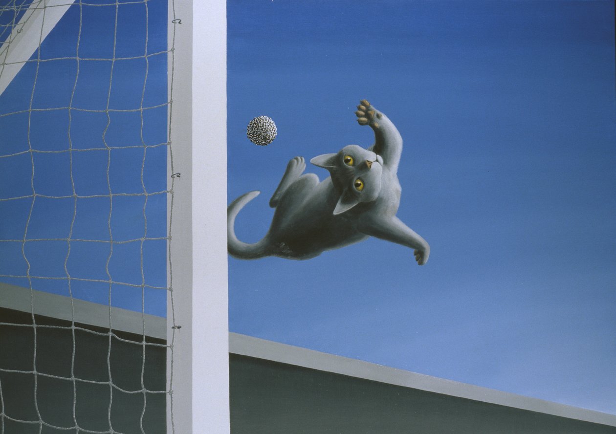 Numero Uno door Rene Boin