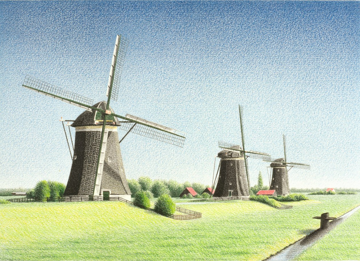 Duiker door Rene Boin