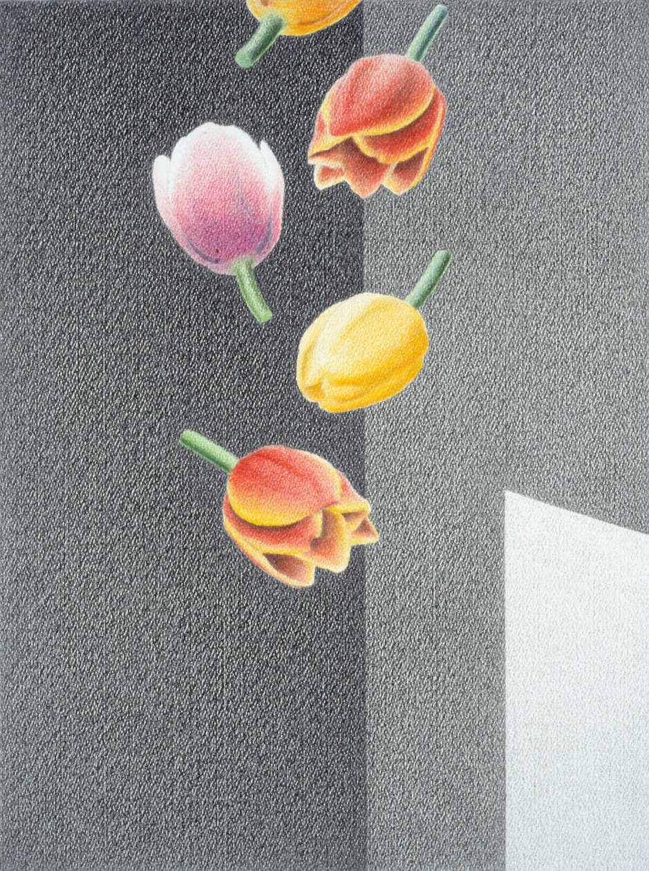 Tulpen door Rene Boin