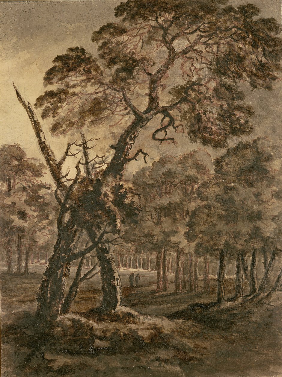 Bosscène, een reusachtige Schotse den en bosweide, 1771 door Rev. William Gilpin