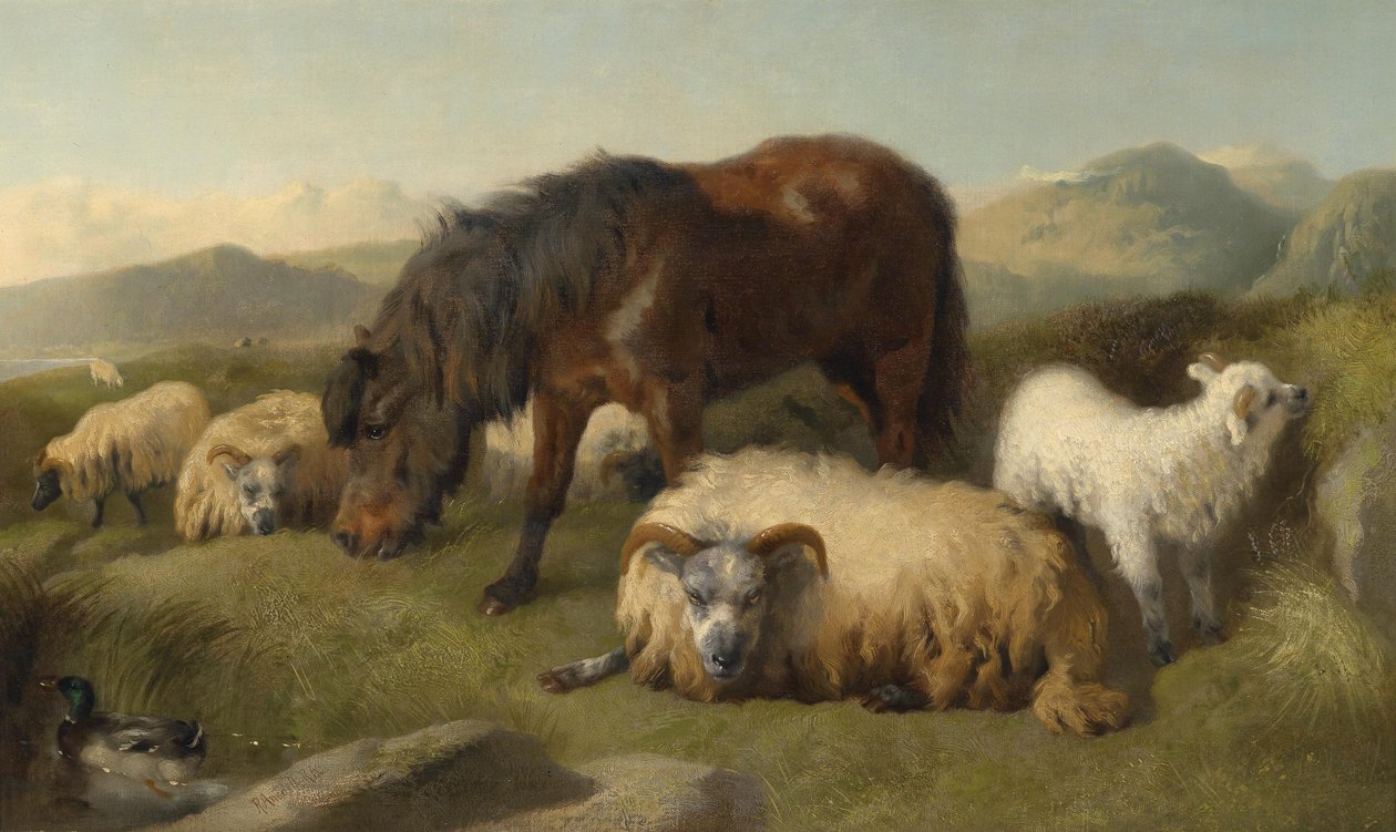 Geiten, schapen en een pony door Richard Ansdell