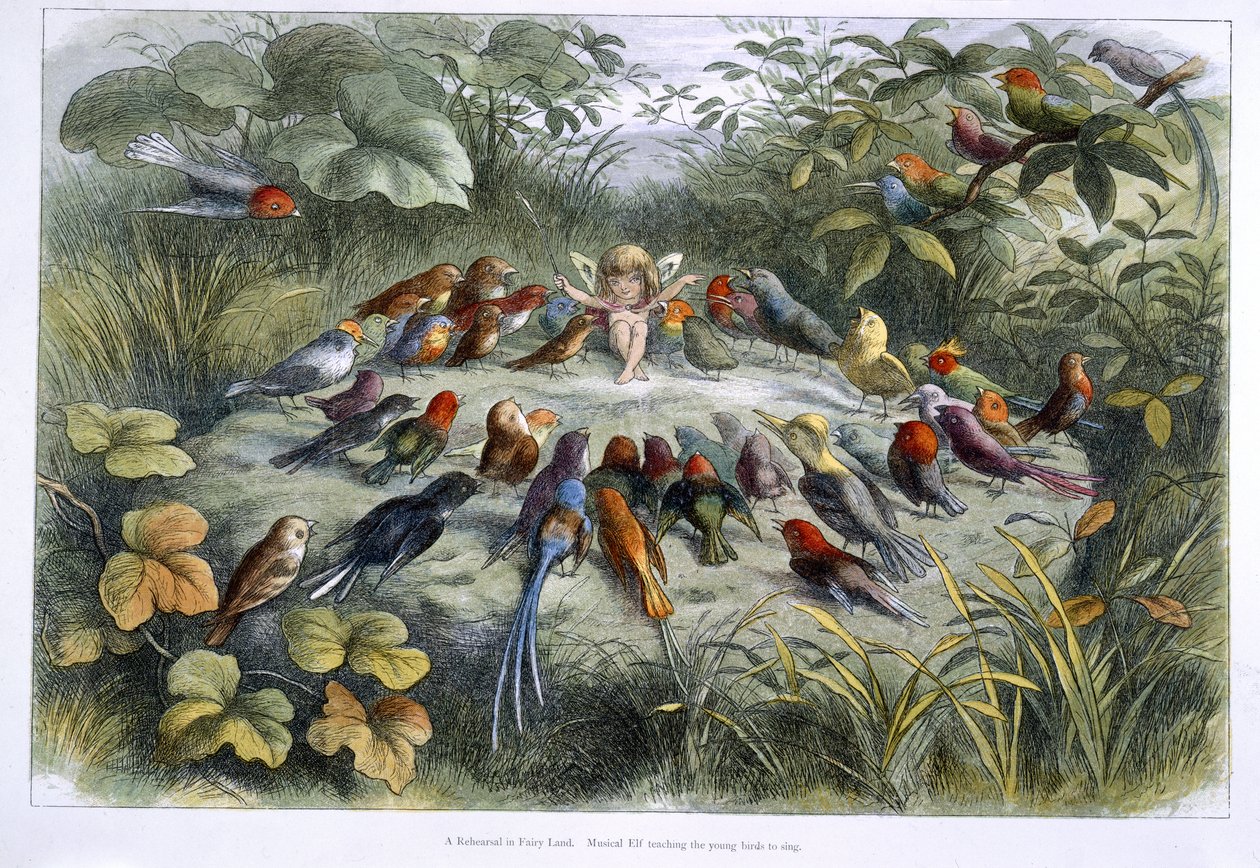 Een elf en vogels door Richard Doyle