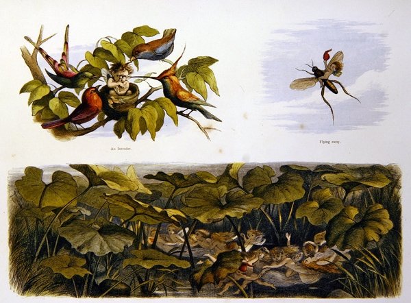 In sprookjesland door Richard Doyle