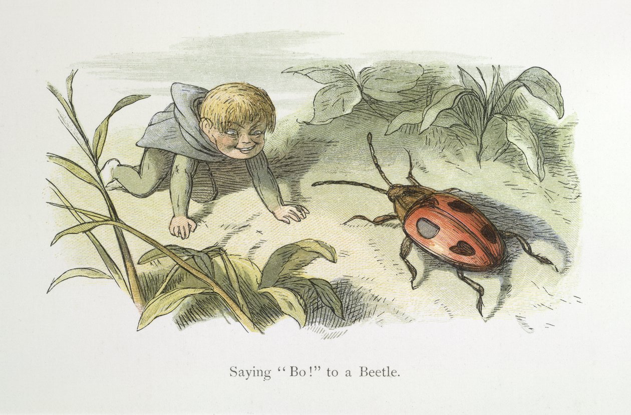 Bo! zeggen tegen een kever door Richard Doyle
