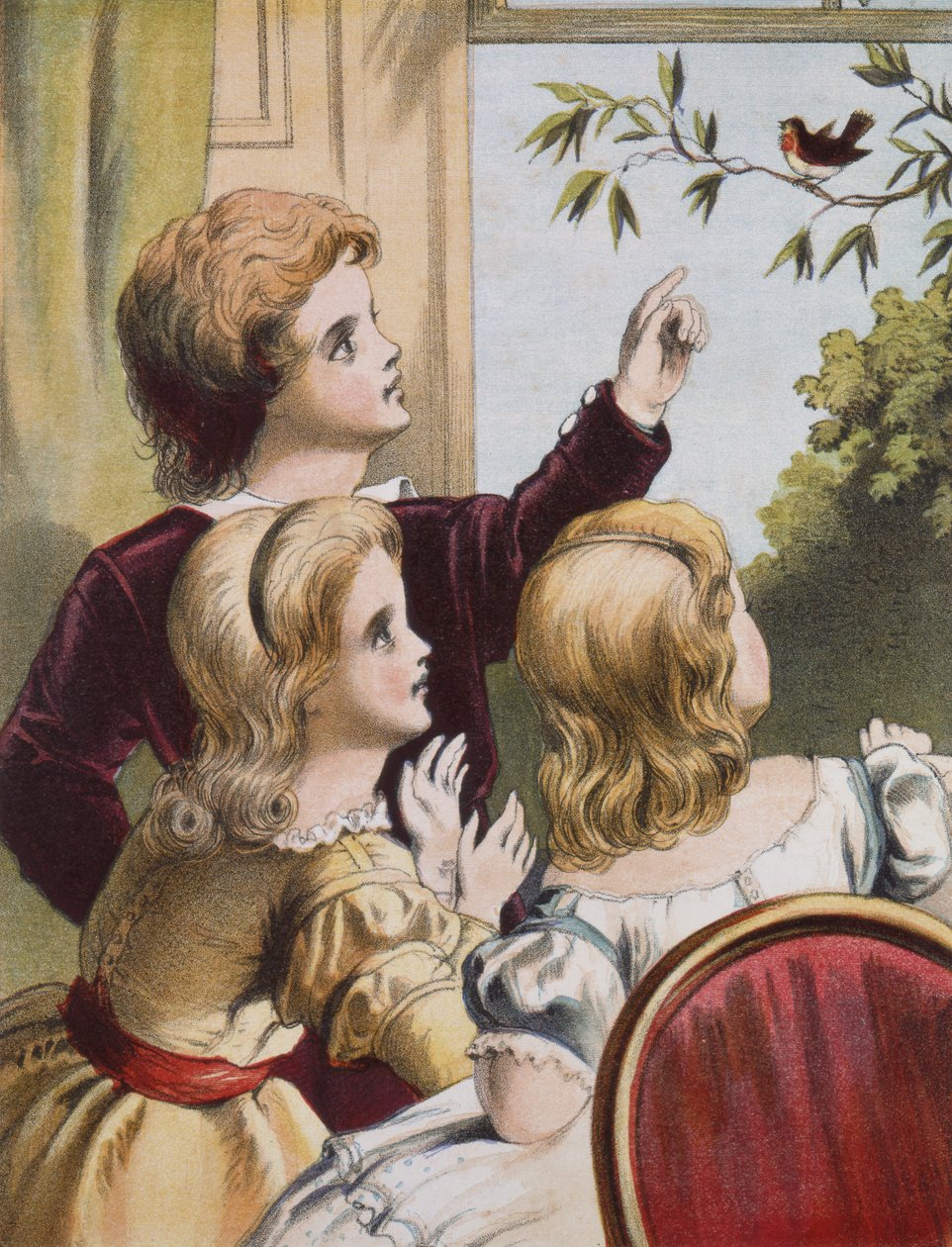 De vriendelijke roodborst door Richard Doyle