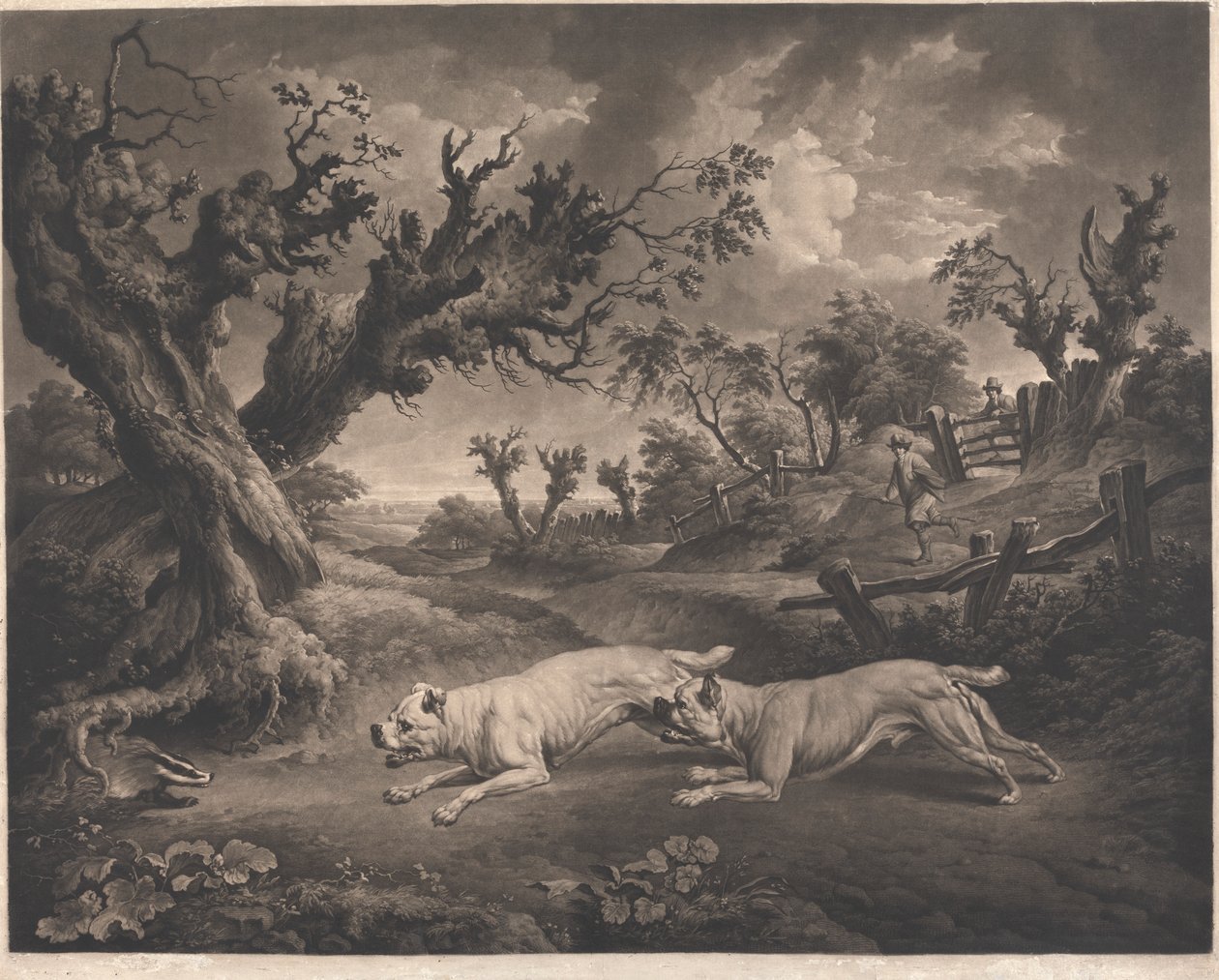Bulldogs en dassen door Richard Earlom