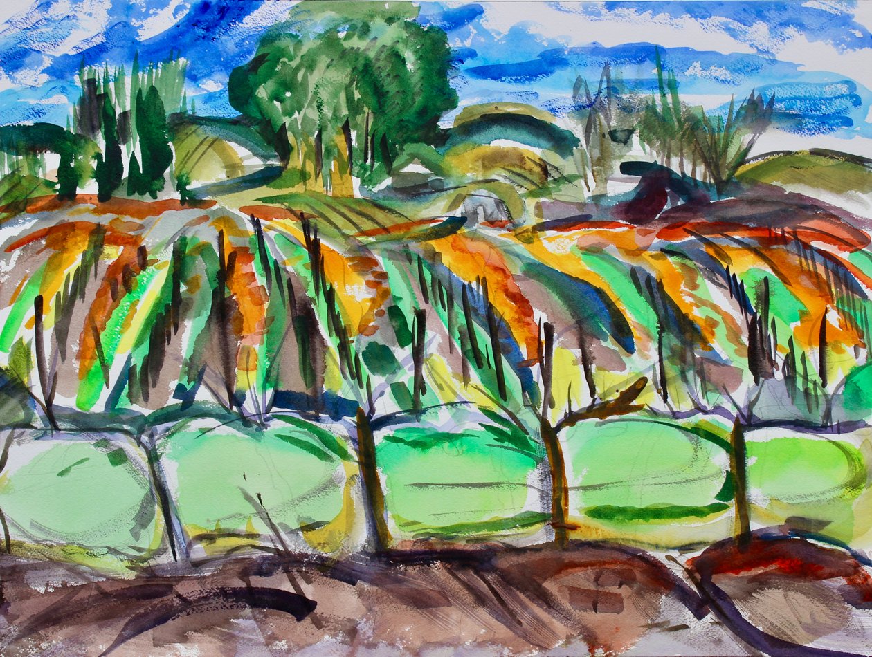 Herfst Wijngaarden, Napa, 2017 door Richard Fox