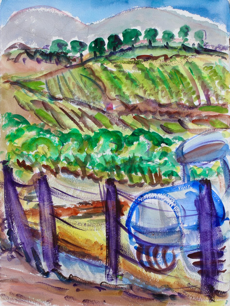 Blauwe Tractor, Napa Valley, 2017 door Richard Fox