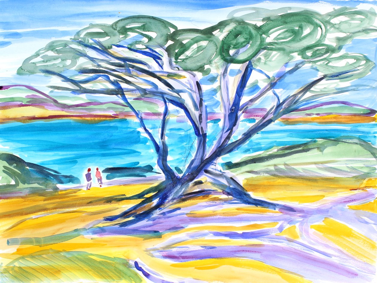 Cipresboom, Carmel, 2019 door Richard Fox