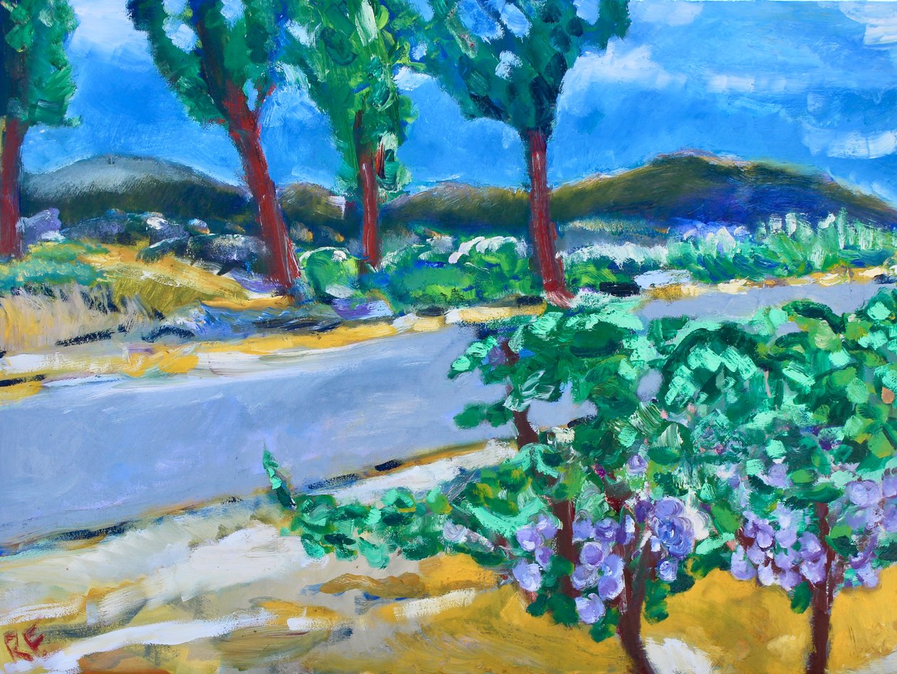 Wijngaard langs de Weg, Napa, 2017 door Richard Fox