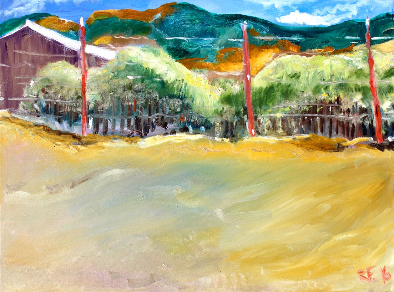 Wijngaard, Sonoma, 2017 door Richard Fox