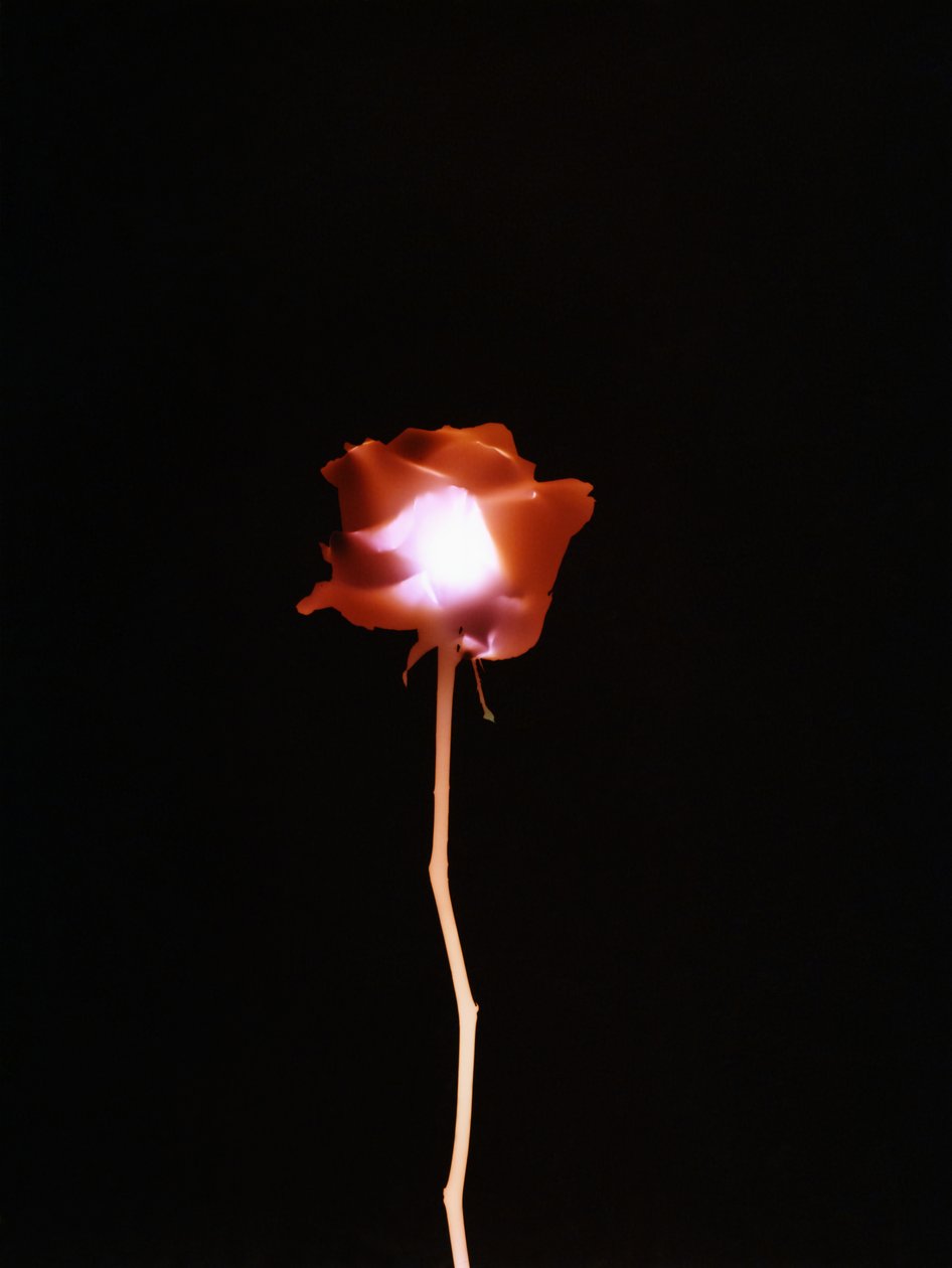 Zonder Titel, 2007 door Richard Green