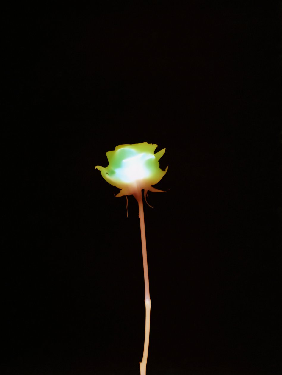 Zonder Titel, 2007 door Richard Green