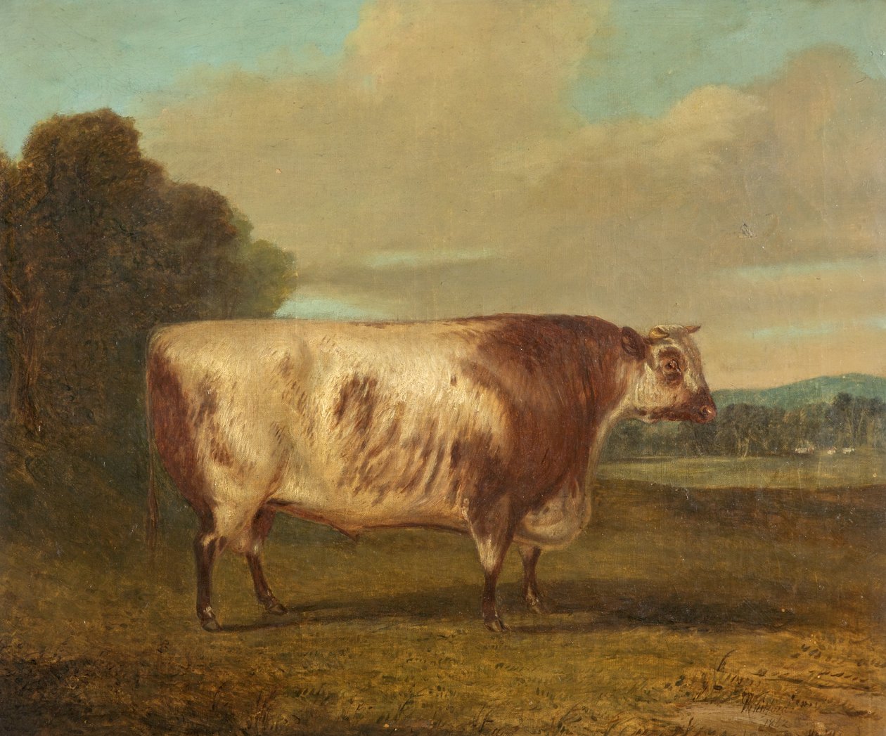 Een stier, 1862 door Richard Whitford