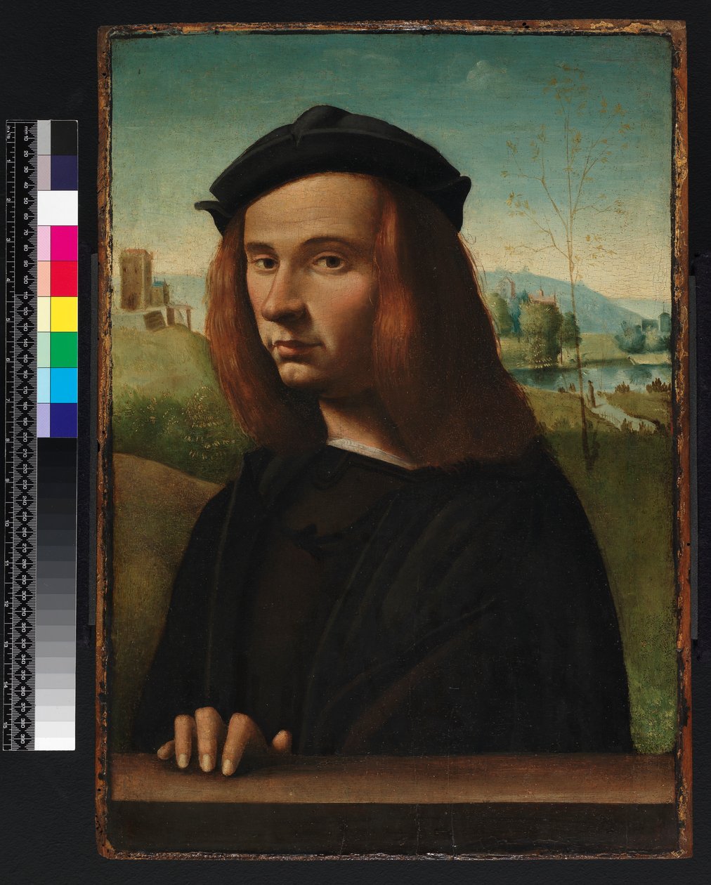 Portret van een jonge man, 1500 door Ridolfo Ghirlandaio