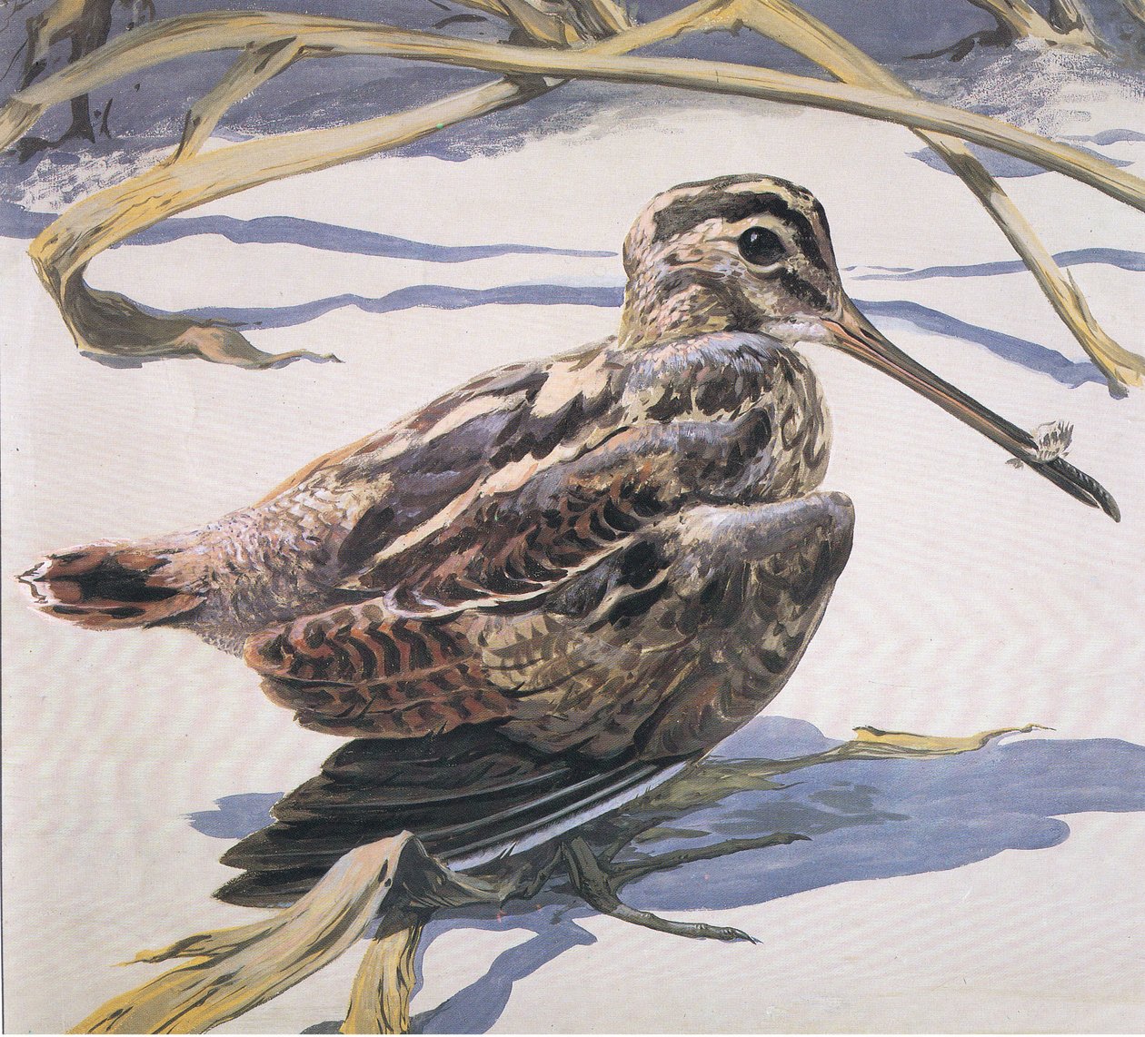 Watersnip door Robert George Talbot Kelly