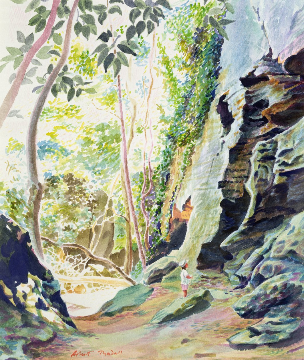 Rotsen bij Nowra, N.S.W. Australië door Robert Tyndall