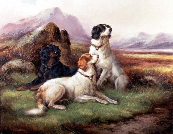 Setters in een Highland landschap door Robert Cleminson