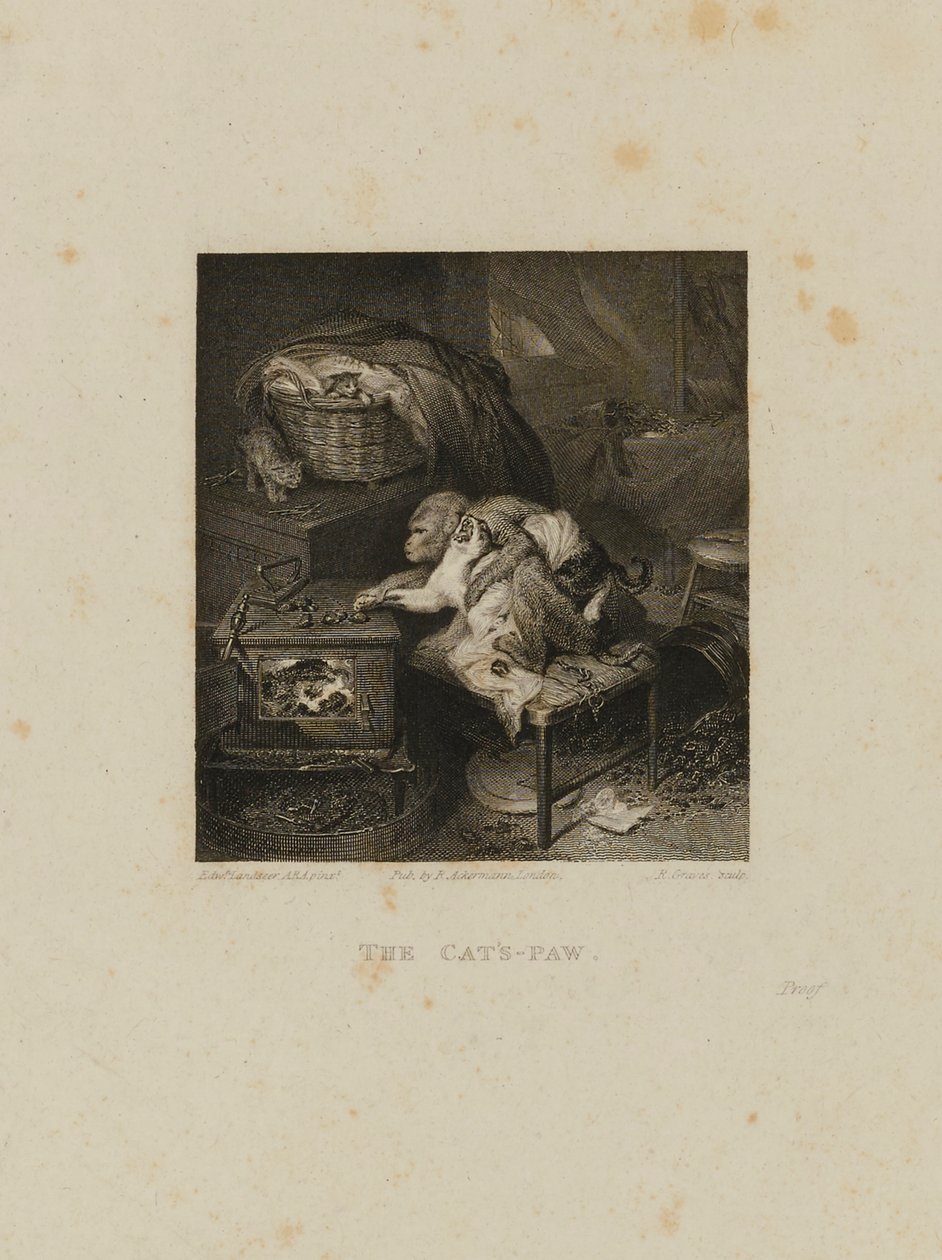 De poot van de kat door Robert Graves