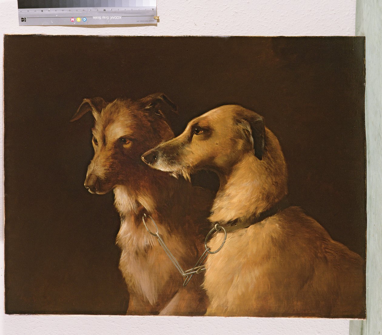 Hertenhonden door Robert Henry Roe