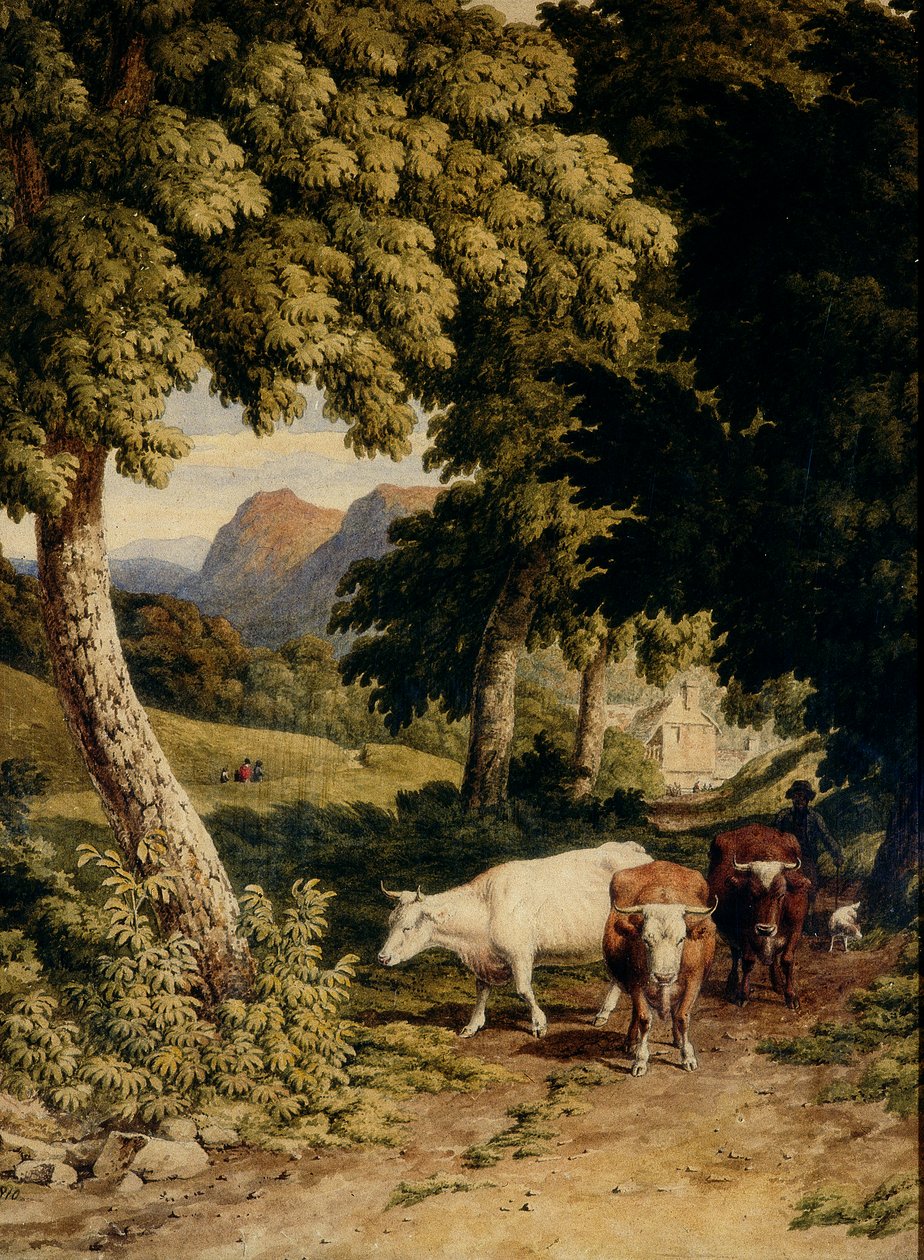 Landschap met vee en herder door Robert Hills